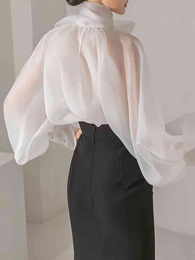 Women's Elegant Lantern Sleeve - đánh giá và giá Street Fashion Necklace